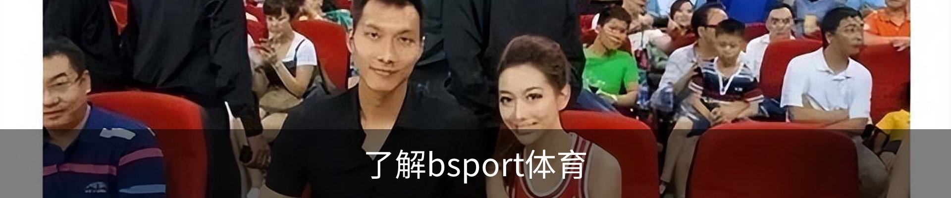 了解bsport体育